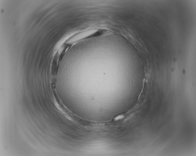 X0000052550052200507291926