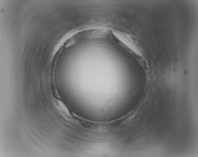 X0000052550056200507291926