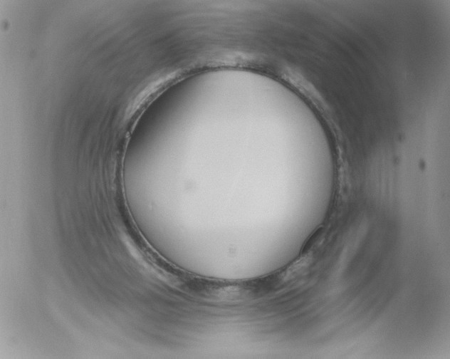 X0000052550058200507291926