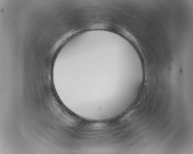 X0000052550059200507291926