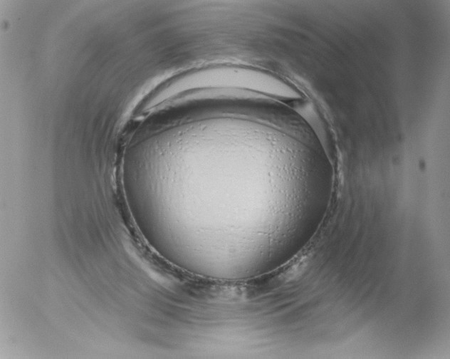 X0000052550060200507291926