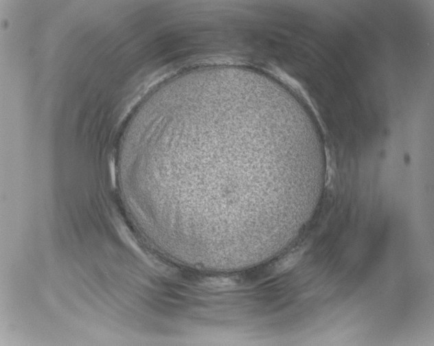 X0000052550061200507291926