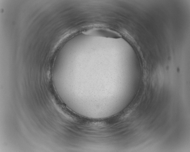 X0000052550063200507291926