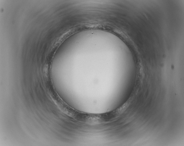 X0000052550066200507291926