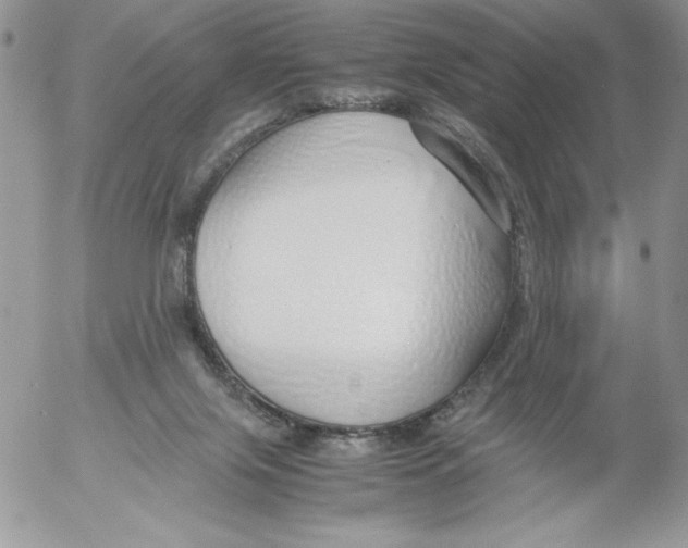 X0000052550071200507291926