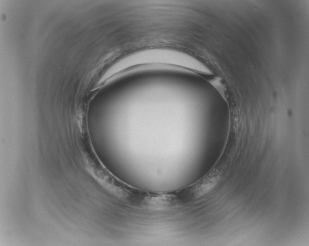 X0000052550072200507291926