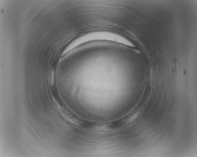 X0000052550076200507291926