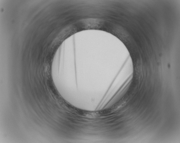 X0000052550079200507291926