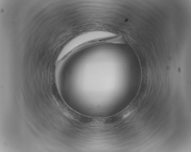 X0000052550080200507291926