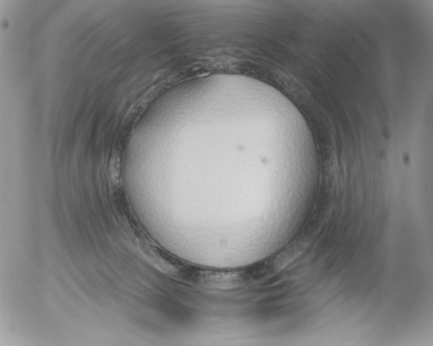 X0000052550081200507291926