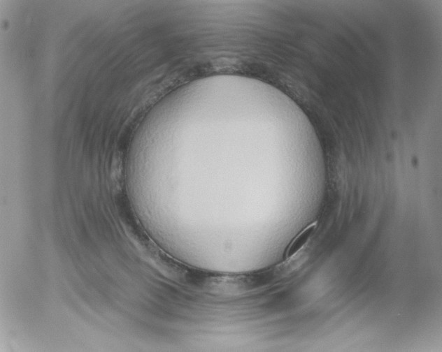 X0000052550082200507291926