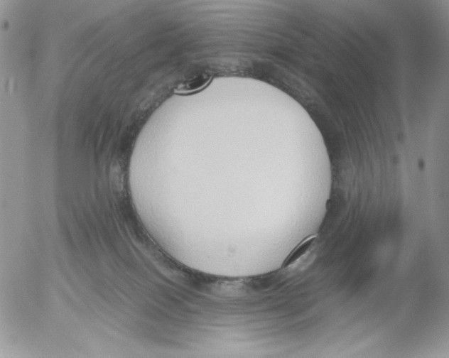 X0000052550086200507291926