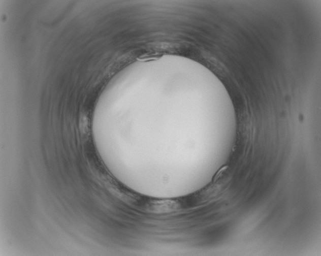 X0000052550087200507291926