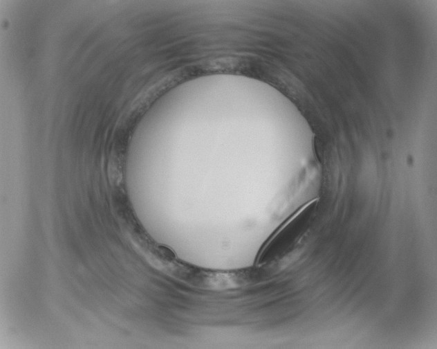 X0000052550091200507291926