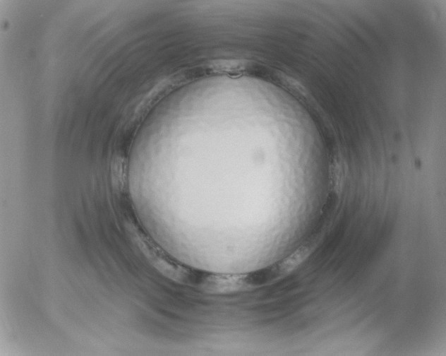 X0000052550093200507291927