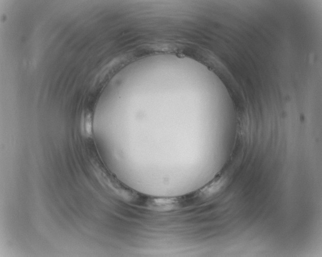 X0000052550095200507291927