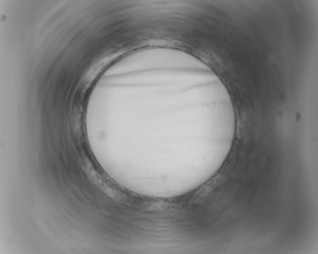 X0000052550098200507291926