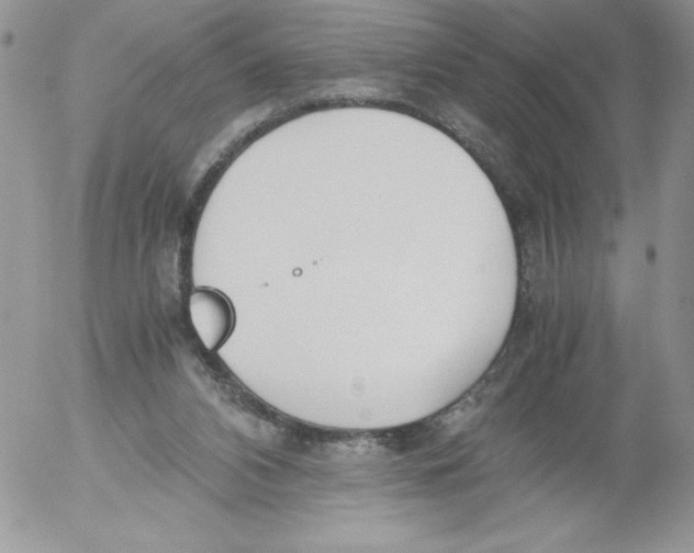 X0000052550112200507291926