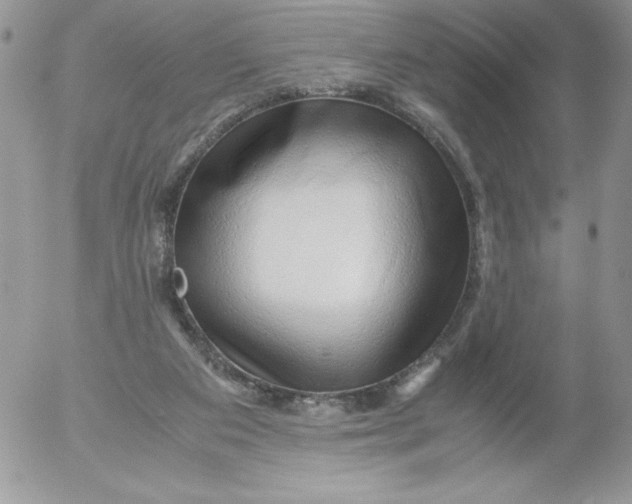 X0000052550113200507291926