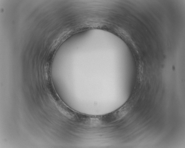 X0000052550114200507291925