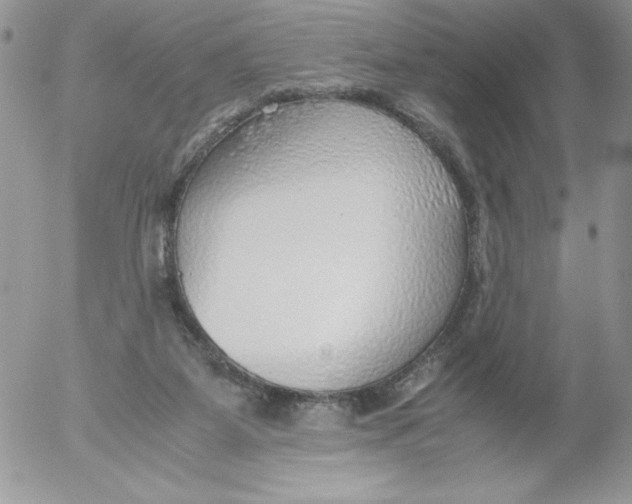 X0000052550115200507291925