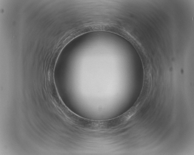 X0000052550117200507291925