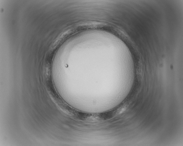 X0000052550119200507291925