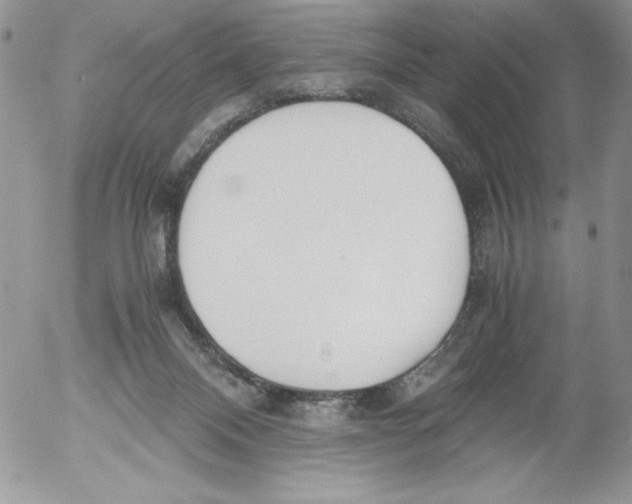 X0000052550120200507291925