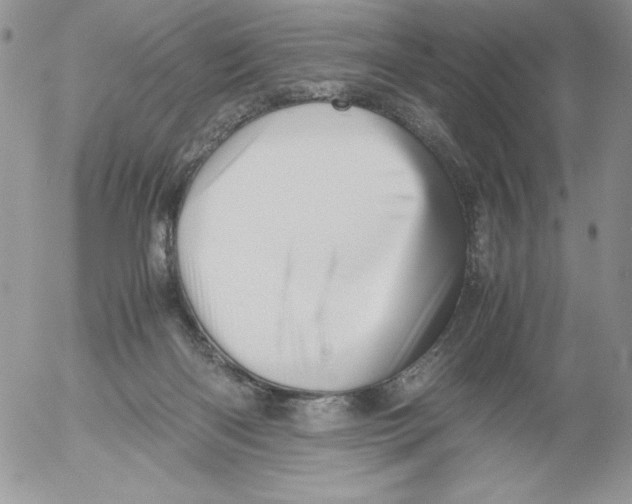 X0000052550122200507291925