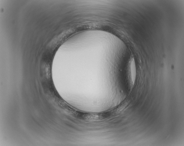 X0000052550123200507291925