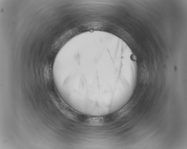 X0000052550126200507291925