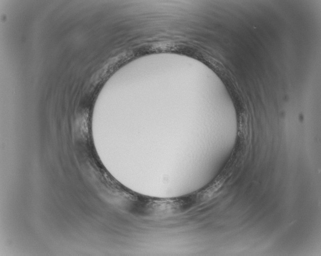 X0000052550127200507291925