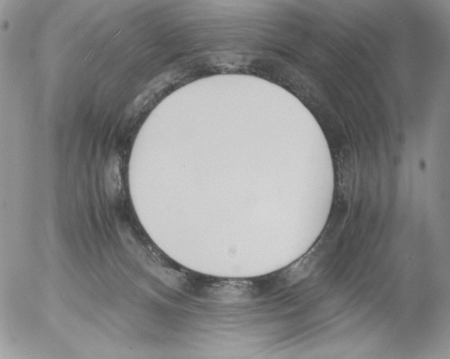 X0000052550128200507291925