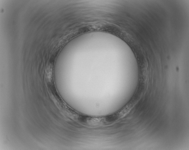 X0000052550129200507291925