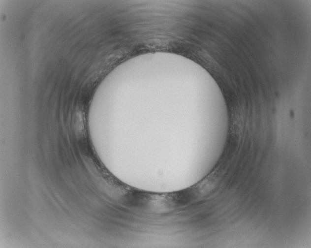 X0000052550130200507291925