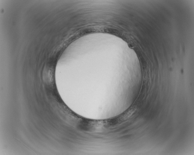 X0000052550131200507291925