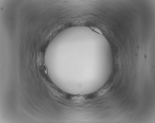 X0000052550133200507291925