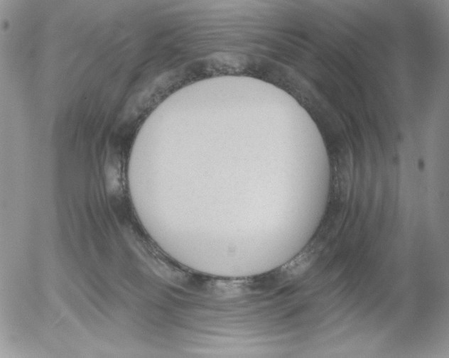 X0000052550134200507291925