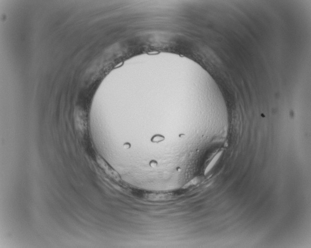 X0000052550135200507291925