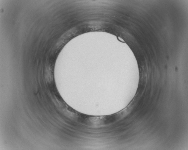 X0000052550136200507291925