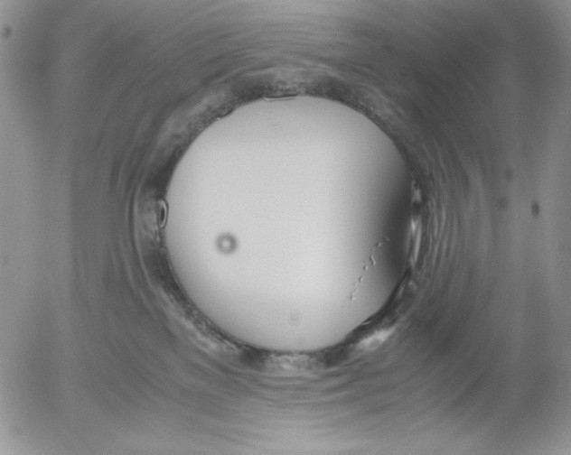 X0000052550137200507291925