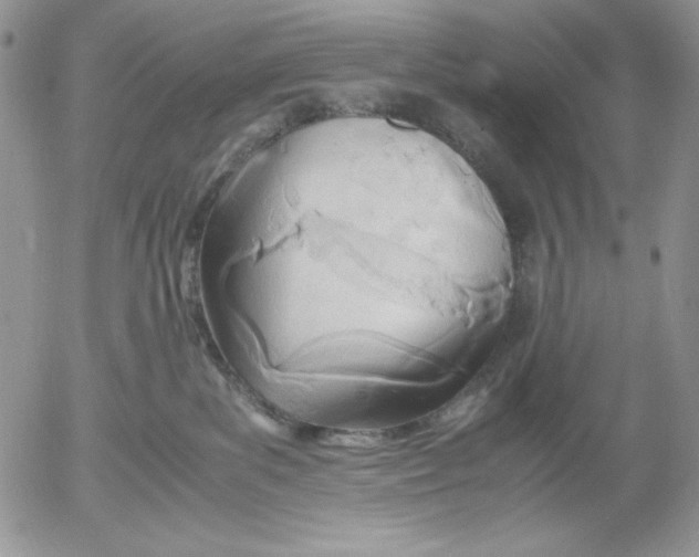 X0000052550139200507291925