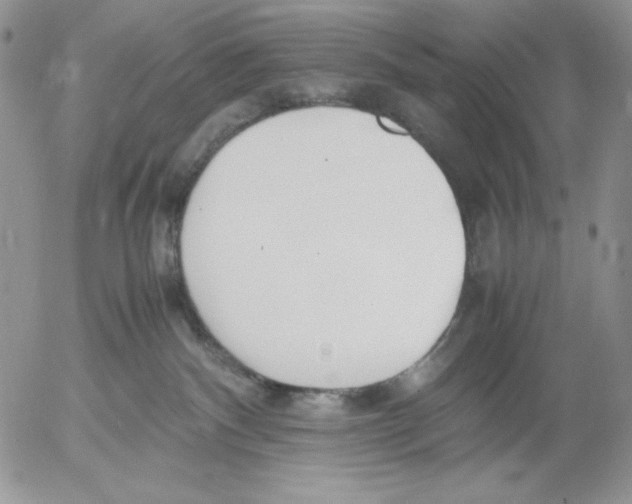 X0000052550140200507291925