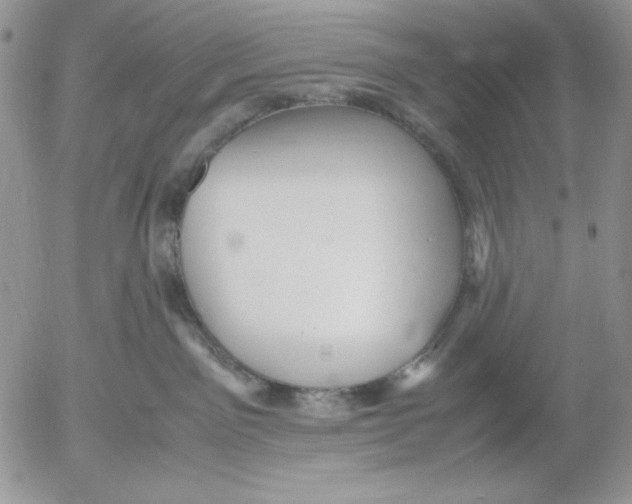 X0000052550141200507291925