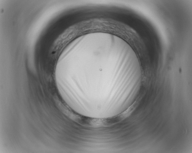 X0000052550142200507291925