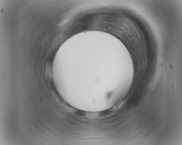 X0000052550143200507291925