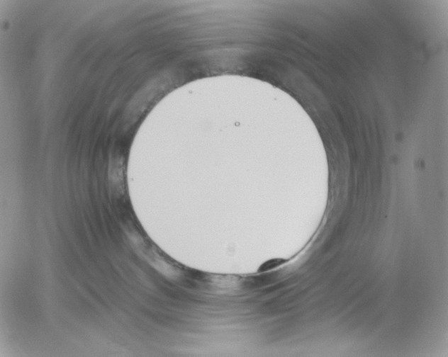 X0000052550144200507291925