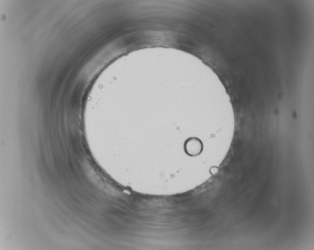 X0000052550146200507291924