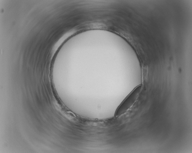 X0000052550147200507291924