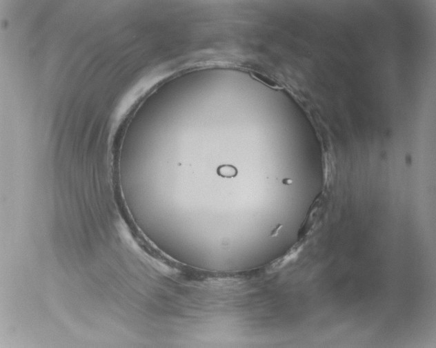 X0000052550150200507291924